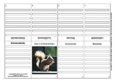Eichhörnchen-Faltbuch-Steckbrief-achtseitig-1.pdf